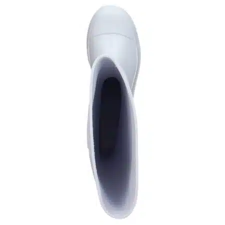 Lactica - Image 7