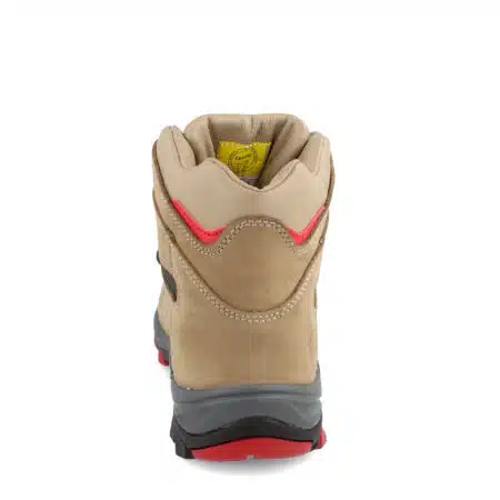Access Antiperforante. - Image 4